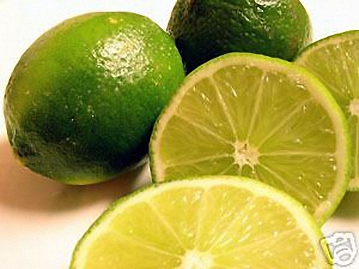 4 oz Candle Scent Oil-LIME
