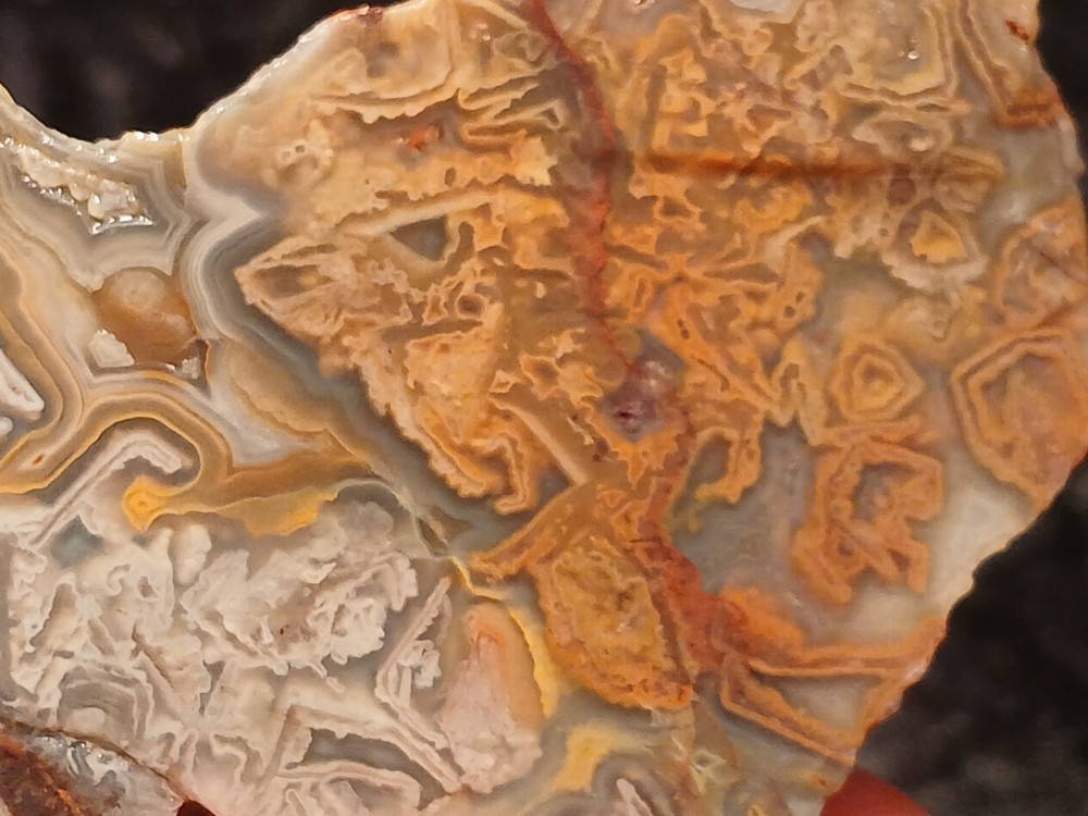 Laguna Lace Agate Rough End