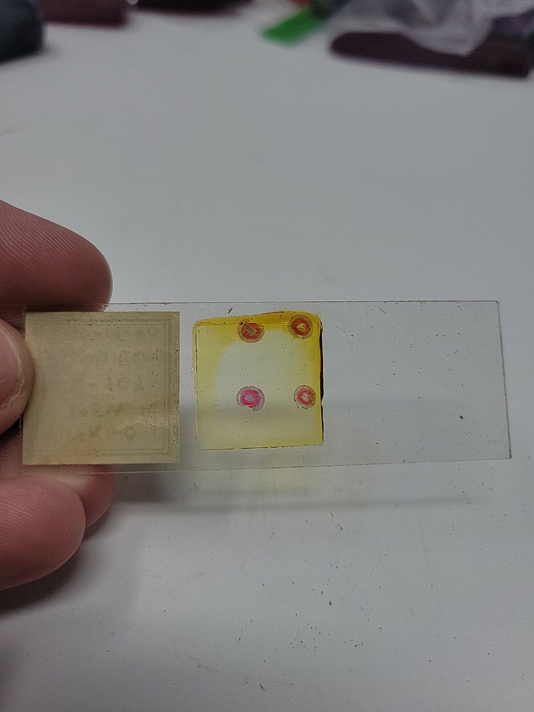 Vintage Microscope Slide 1940