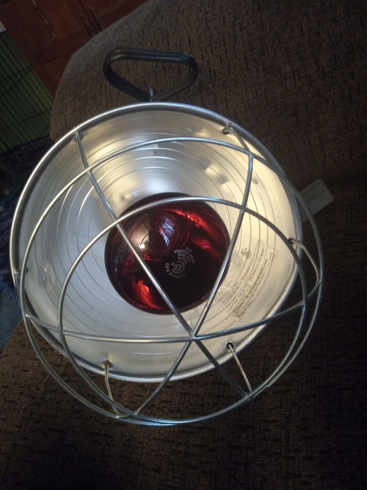 Heat light