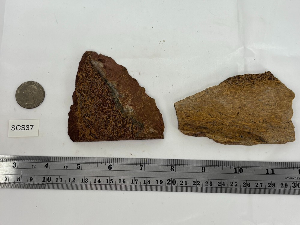 Script Stone Jasper Slabs Cabbing Lapidary Collecting Combo Ship Avail