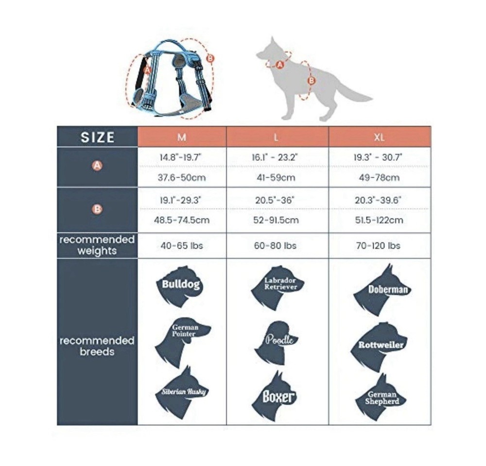 Pawtrender No Pull Dog Harness (Blue) ( X Large)