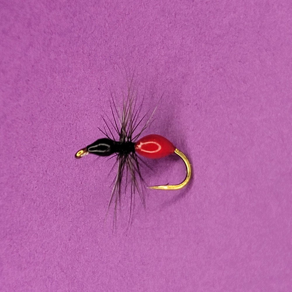 Black Flying Ant | Size #12