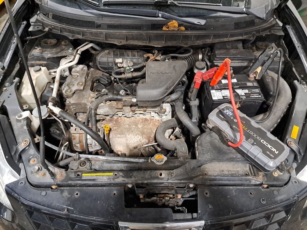 2010 Rogue Jack Sku#4336176