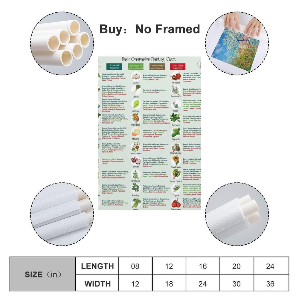 Basic Companion Planting Chart Poster Garden Planting Types Reference Guide W...