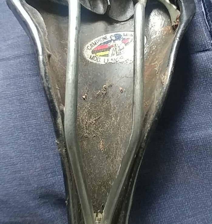 Campione Mondo model Leonoro Faggin Saddle