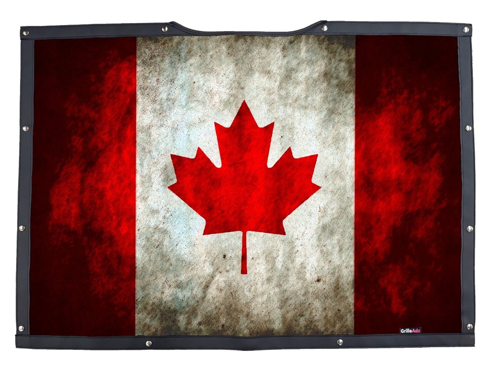 Mesh Plain Bug Screen Fits Freightliner Coronado 2010 & Newer Square Headlights