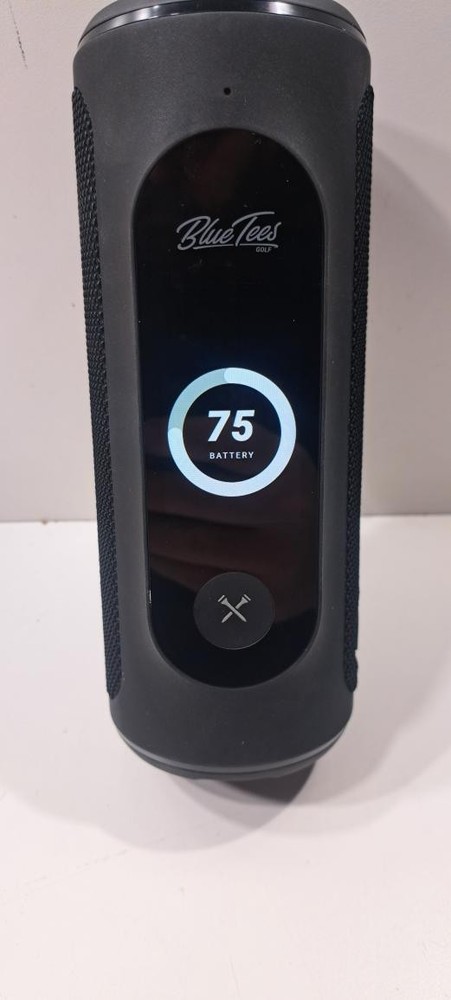 BLUE TEES GOLF PLAYER (P13018944)