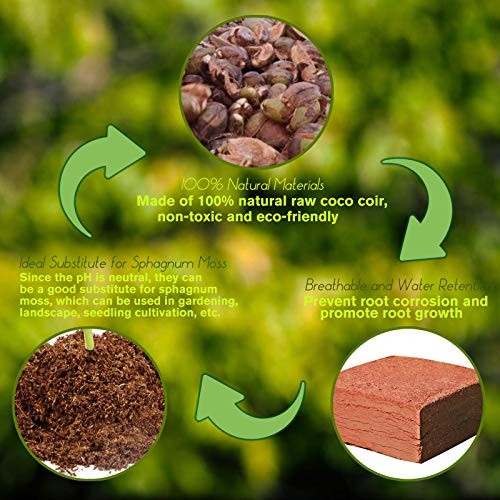 4 Pack Premium Coco Coir Brick for Plants- 100% Organic Compressed 4pcs