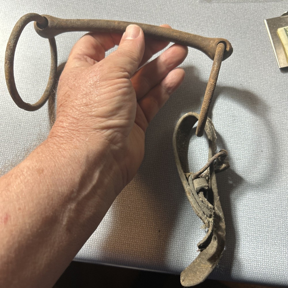 Straight Bar Cast Iron Mule Bit. Probably Blacksmith Produced.