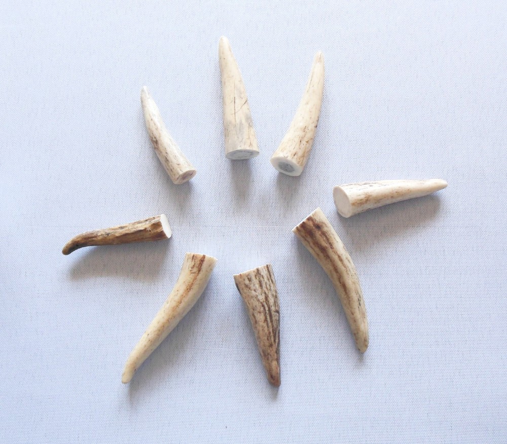Deer Antler Tips