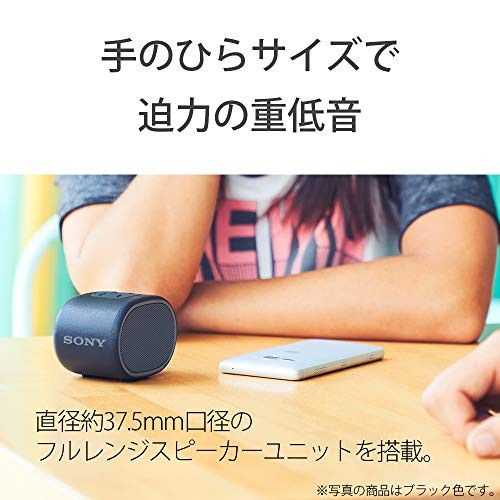 Sony Wireless Portable Speaker Waterproof Bluetooth with Microphone Black