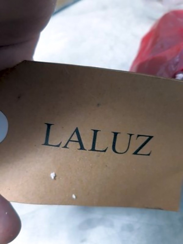 LALUZ Industrial Wall Sconce A03352 1-Light Hardwired