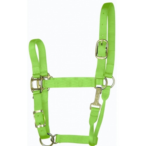 Hamilton Quality 1" Nylon Adjustable Halter With Snap