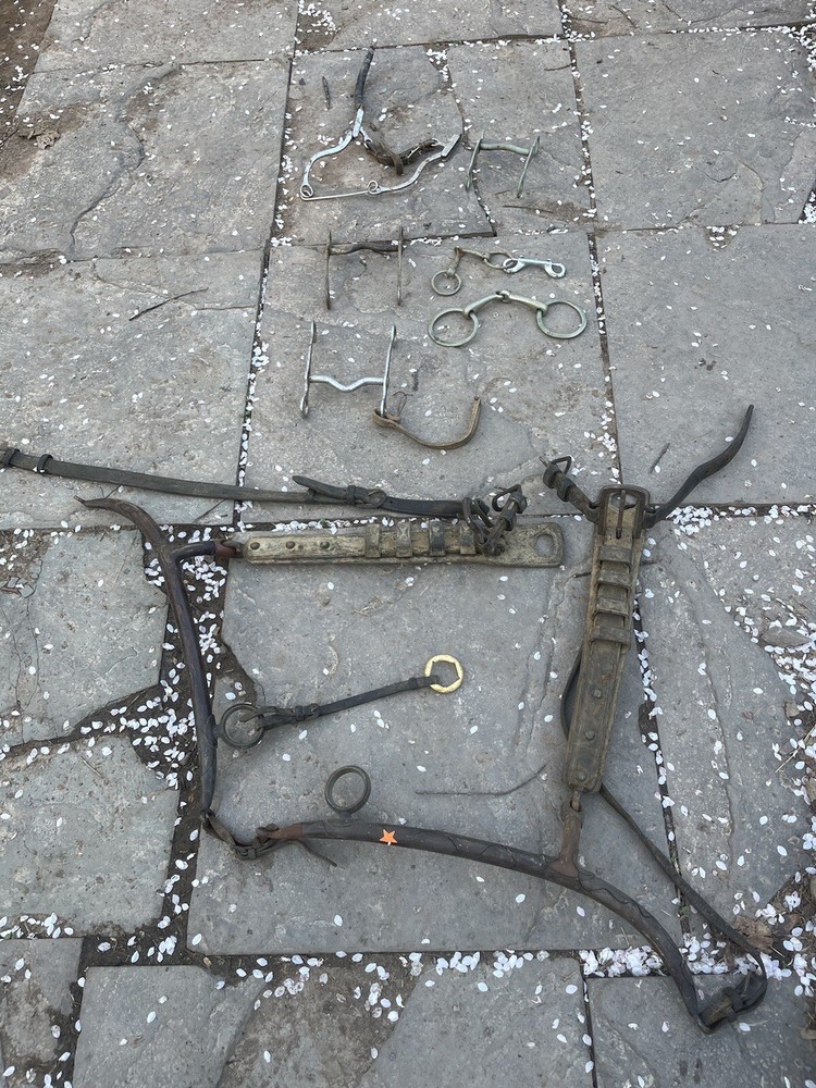 Vintage Horse Bits And Harness