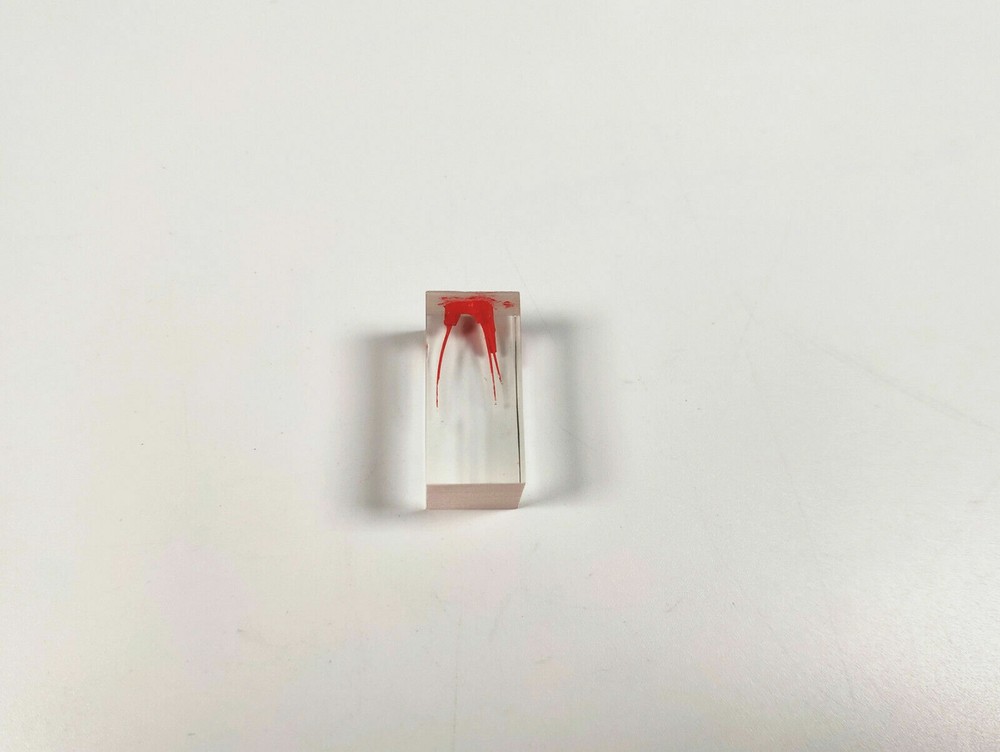 Dental Module Model Pulp Practise Root Canal Dentist Study Endo Training Tubes