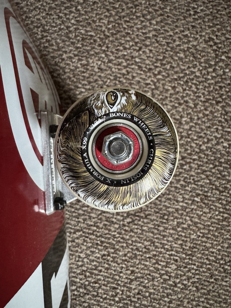Element 8’’ Skateboard Setup, Independent Trucks, Bones Wheels And Reds Bearings