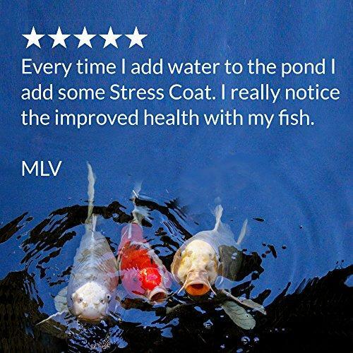 API POND STRESS COAT Pond Water Conditioner 16-Ounce Bottle