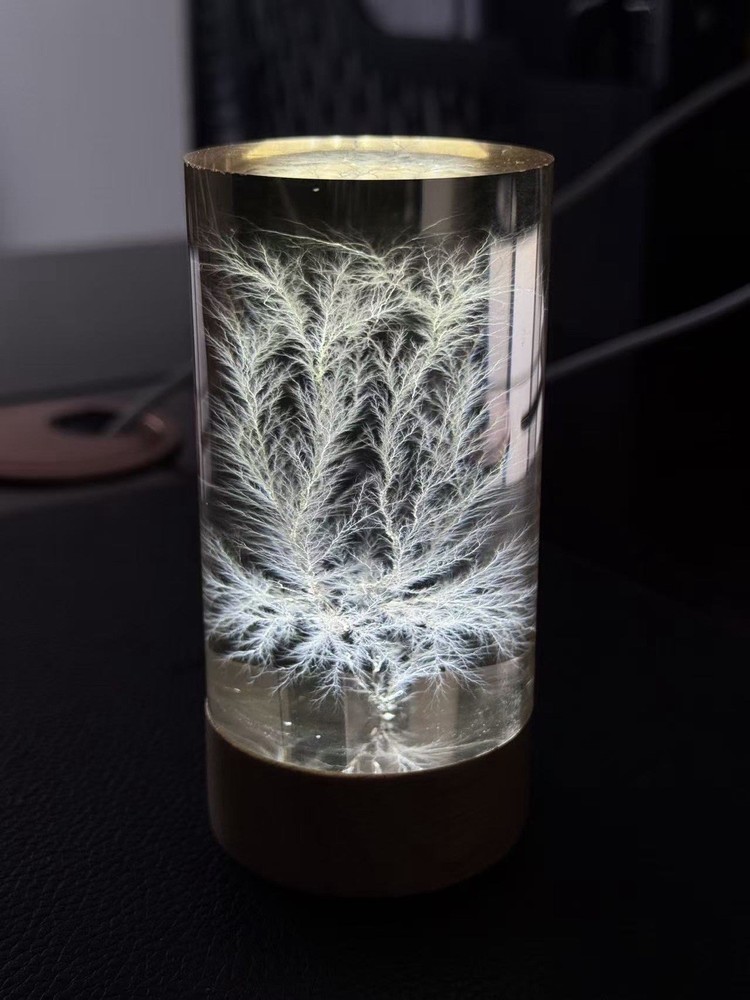 Litchenberg Figure 2” x 3”  Cylindrical Acrylic (Engraving Available)