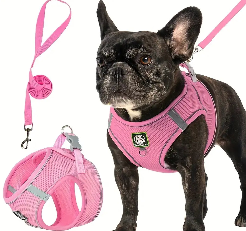 Small Dog Walking Harness with Leash - Pink