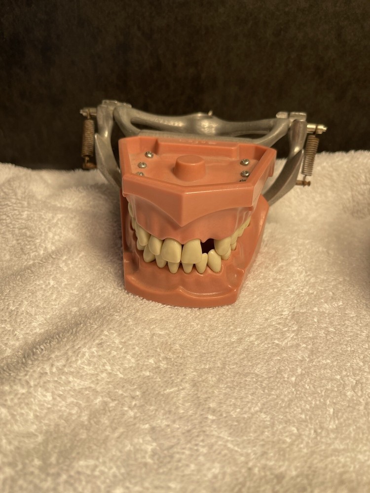 Dental Vintage Periodontal Study Models