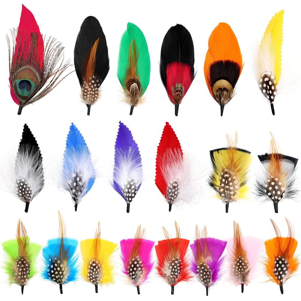 SendyFeather Hat Feathers 20 Styles Natural Assorted 4-6Inch, Multicolored