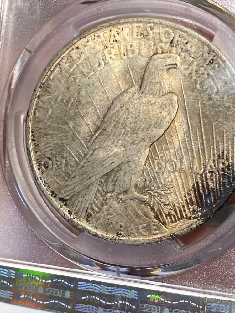 1925 PCGS MS64 Peace Silver Dollar - Toned - Crusty & Original!