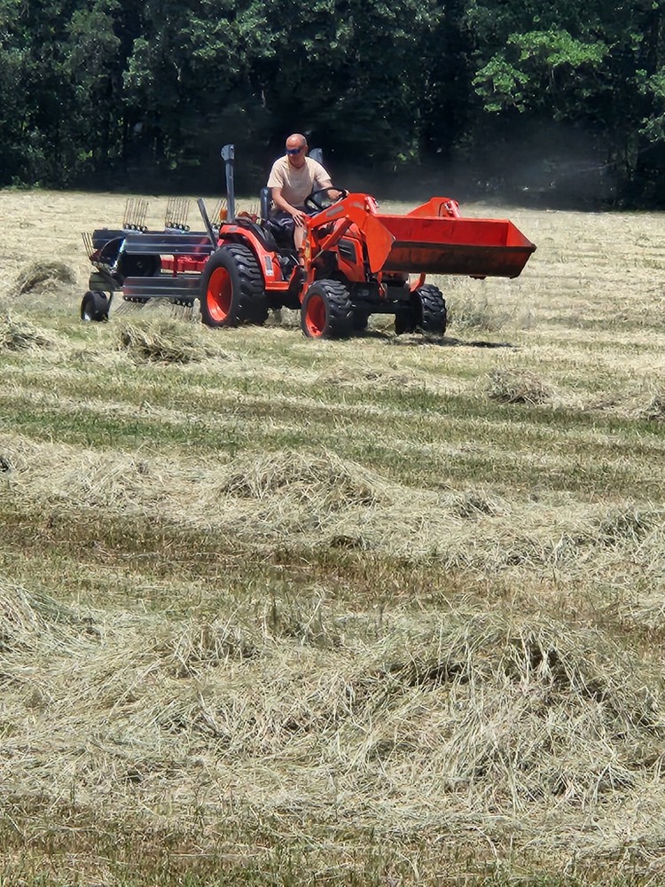 Horse Hay