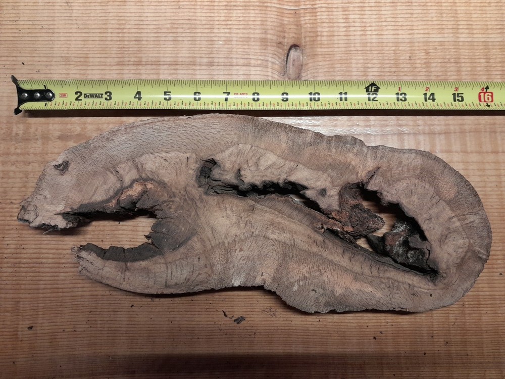 1 Inch Thick Oak Burl Slice
