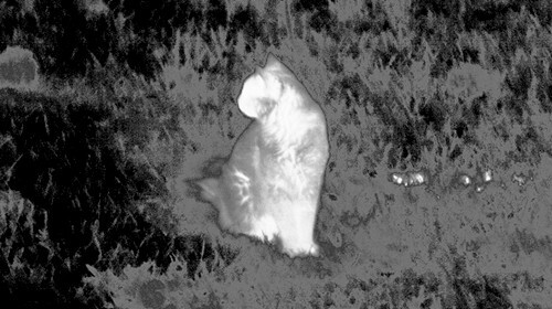 ATN OTS LT 320 6-12X