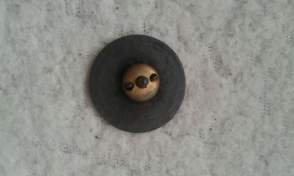Copernicus badge