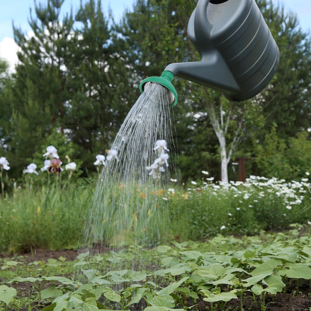 2pcs Replacement Sprinkler Head Spray Spout for Watering Can