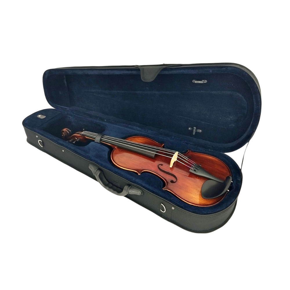 Enraptured Melodies: The AA80 Symphony Viola