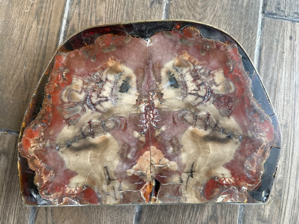 petrified wood.. super unique .. mirror image cuts 