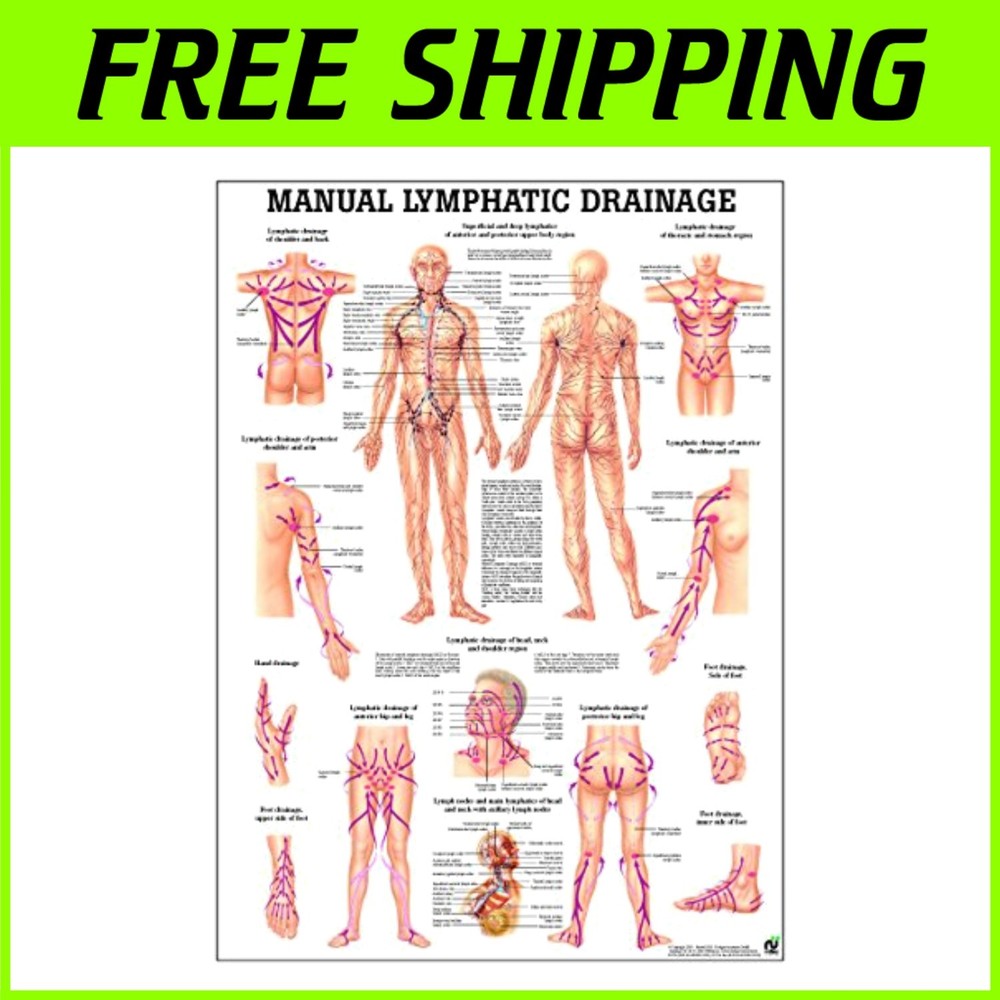 Professional Lymphatic Drainage Chart*