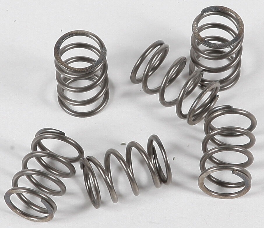 EBC CSK197 Clutch Springs CSK197