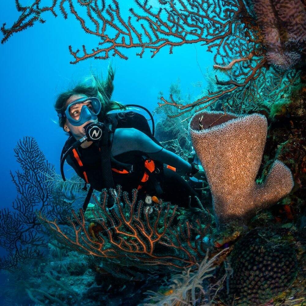 AQUALUNG PRO HD COMPCT