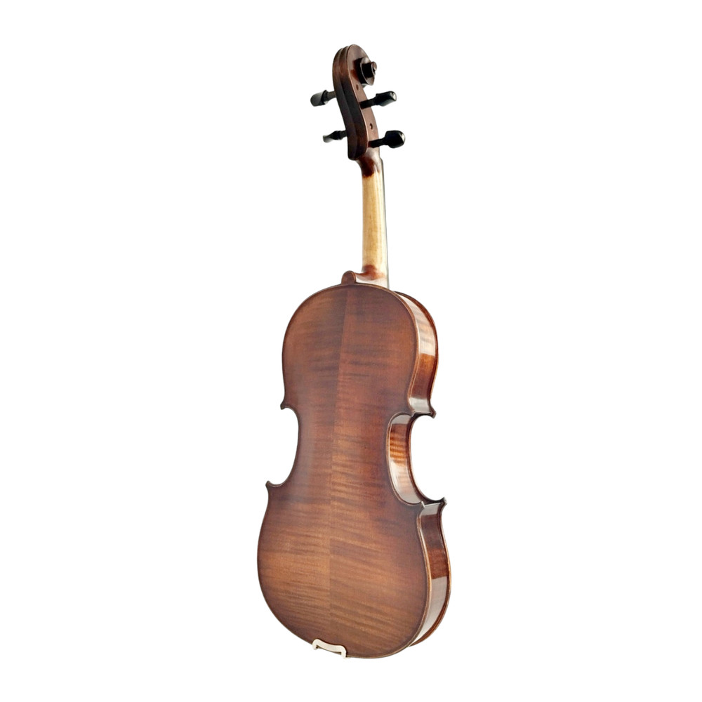 Enraptured Melodies: The AA80 Symphony Viola