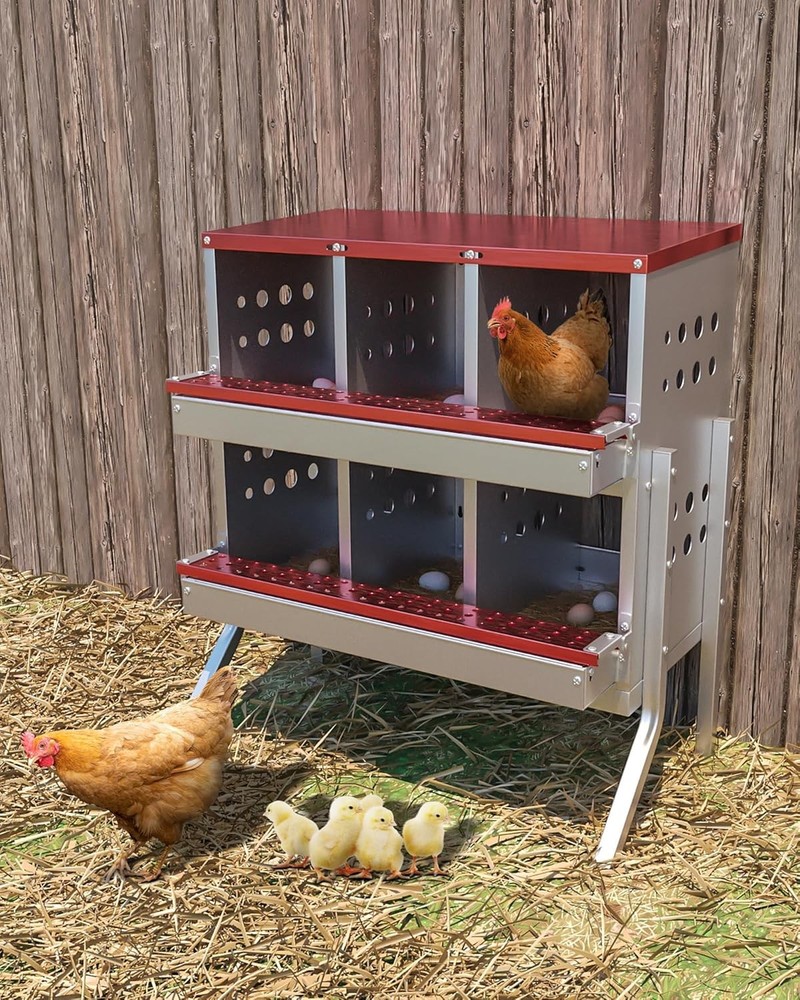 Chicken Nesting Box 6 Compartment 2-Tier with Legs for Laying Eggs Protect