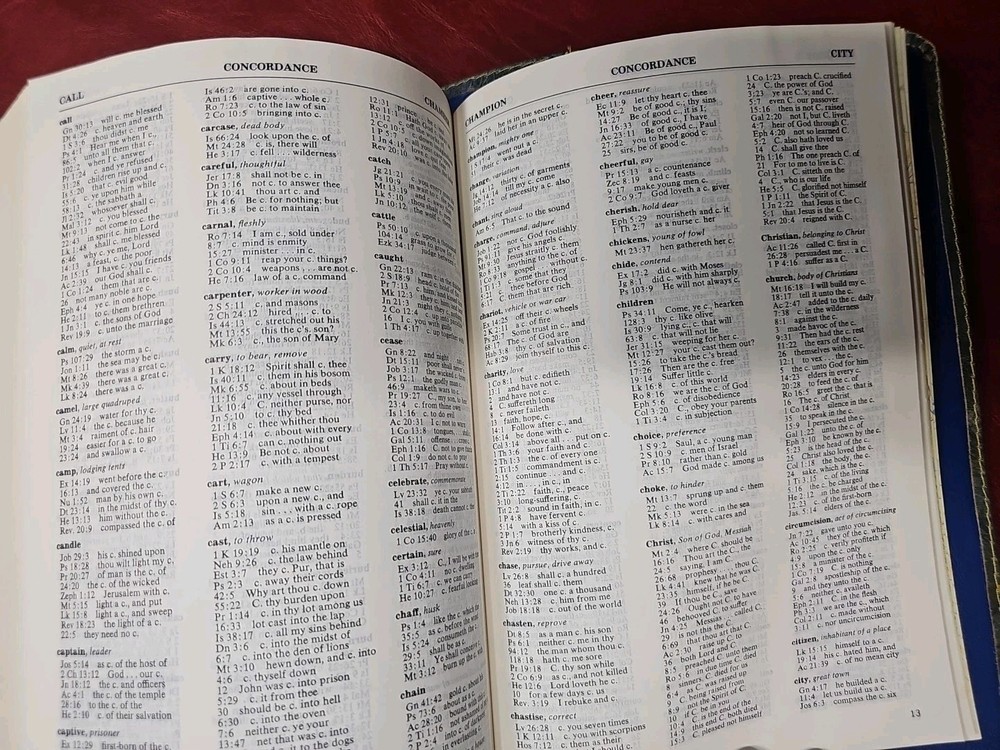 Criswell Study Bible Rebound with Liner Cowhide Nice! Stitched Parameter Nice!
