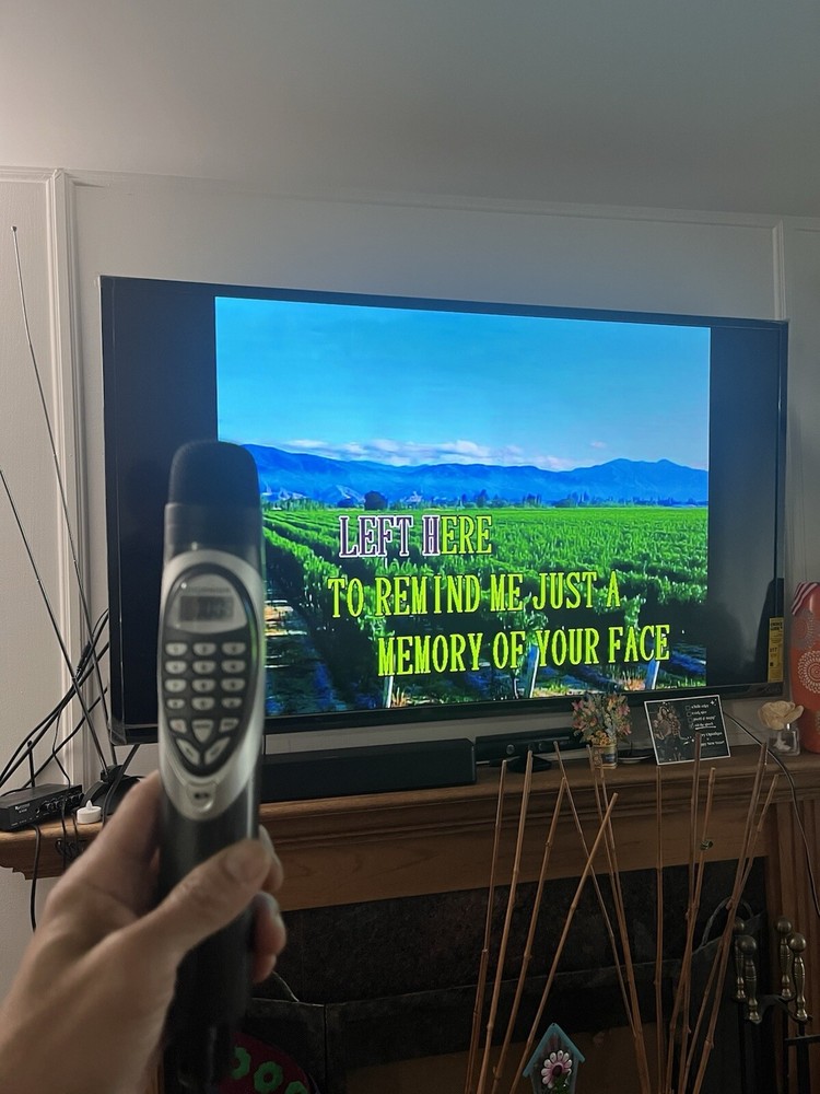 Lead singer Microphone (no sound)