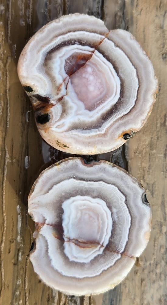 Botswana Agate Cut In Half - Rough, Natural, Not Polished
