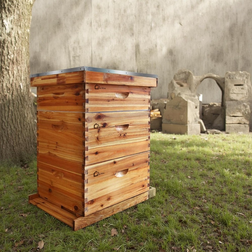 3 Layer Beekeeping Starter Hive Kit 2 Deep 1 Medium 10 Frame Cedarwood Kit