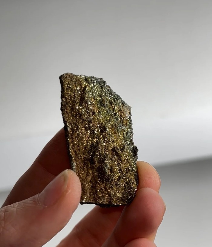 Rare Pyritized Petrified Wood – “A Tree, but Make It Gold”