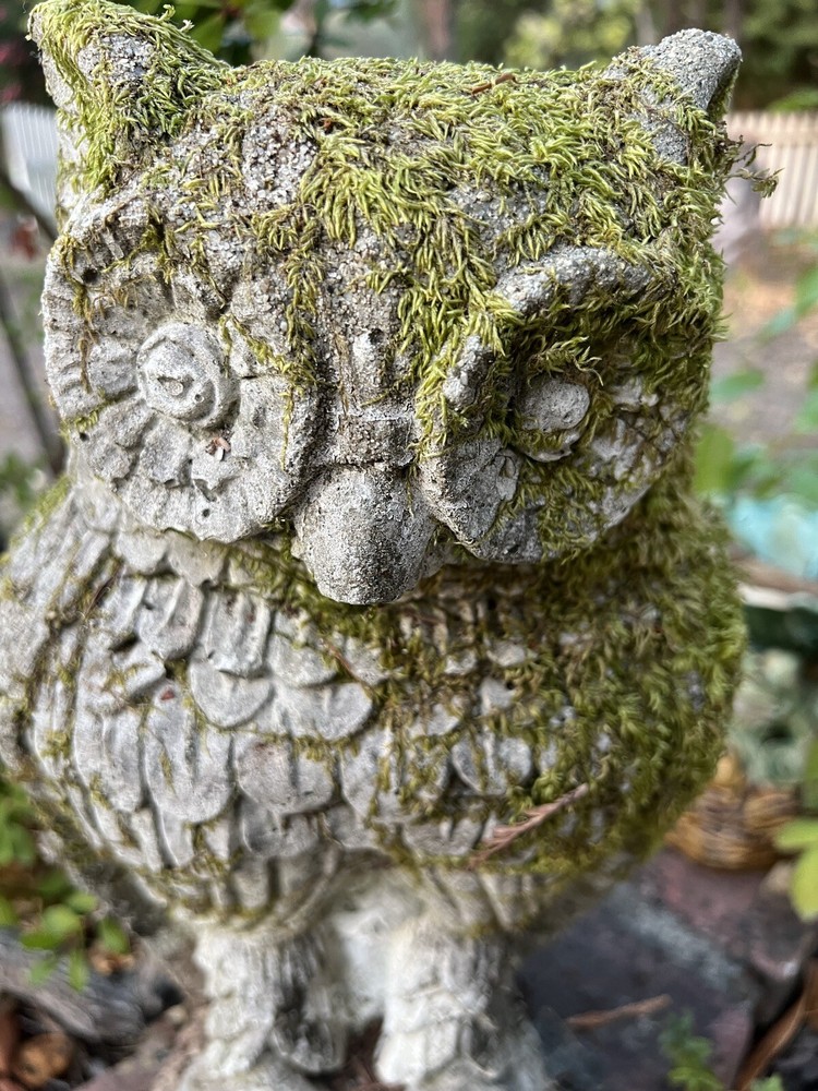 Vintage Solid Cement 17” Owl With Real Moss Growing On It