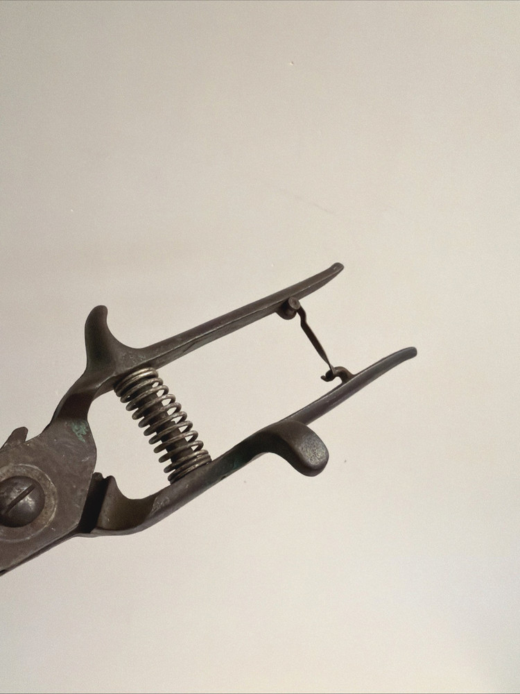 Garden / Grass Shears Vintage 12" Coil Spring Sharp! Nice Old Tool!