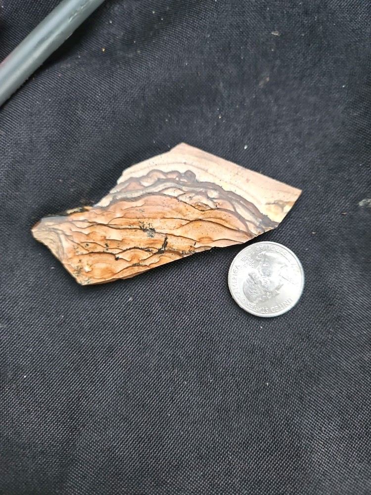 Biggs Jasper Slab (122 grams)