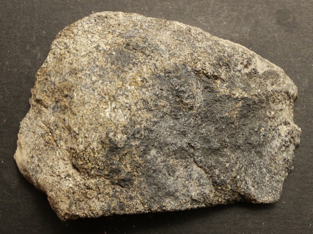 JG Agatized Gem Dinosaur Bone Slab 65.6 grams C22