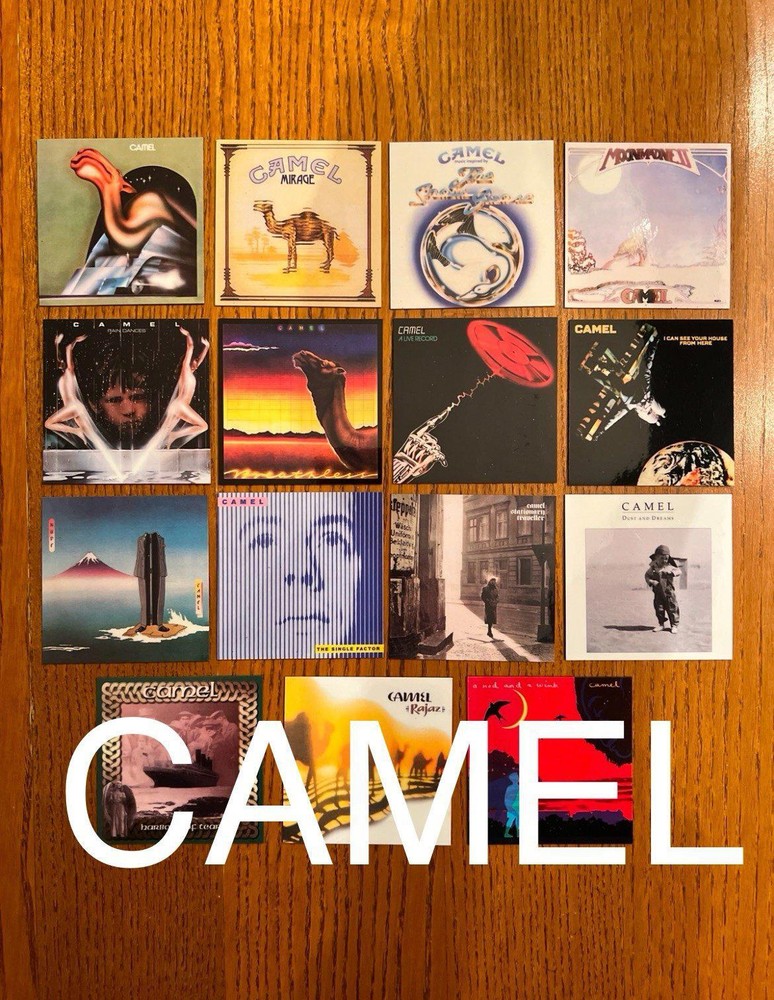 Camel fridge magnets