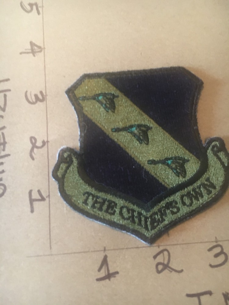 USAF 11th Wing Squadron subdued patch 5/15/25